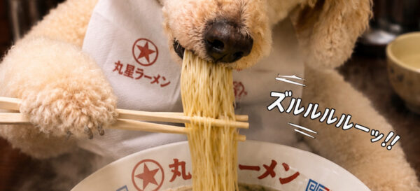 お客様おもてなし責任者 プーさん
